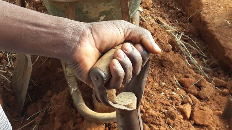 Food security